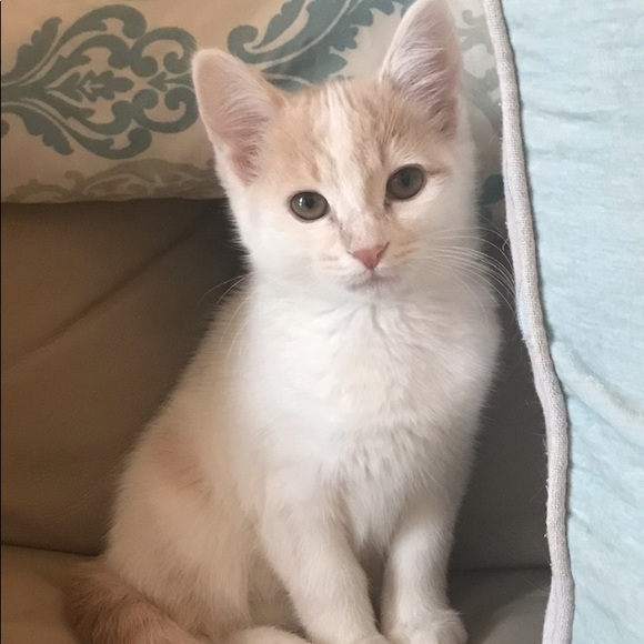 Meet your Posher, Beth - Picture 4 of 7